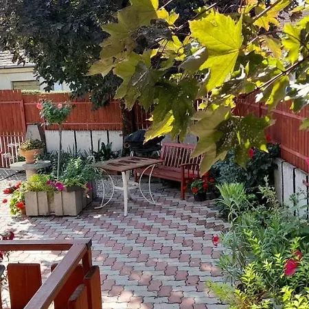 Appartement Mimi Vendeghaz *